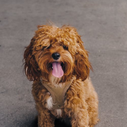 Trust-worthy Sellersl