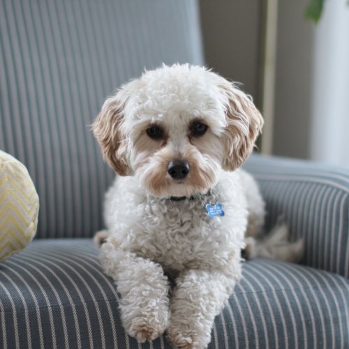 Secure Transportation Options